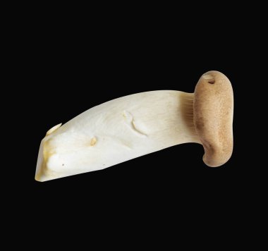 Siyah arka planda kırpma yolu olan beyaz mantar, gölge yok, yemek malzemesi