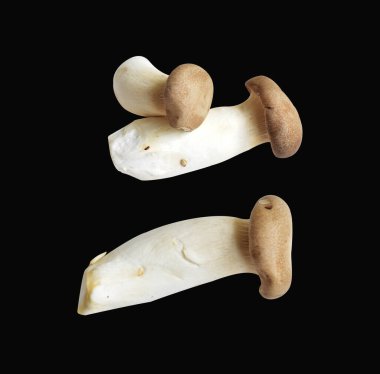 Siyah arka planda kırpma yolu olan beyaz mantar, gölge yok, yemek malzemesi