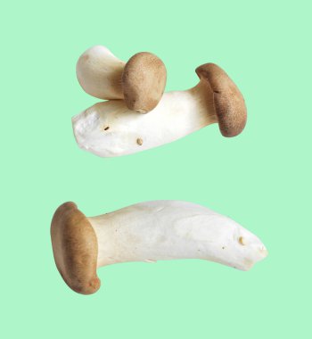 Siyah arka planda kırpma yolu olan beyaz mantar, gölge yok, yemek malzemesi