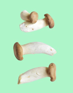 Siyah arka planda kırpma yolu olan beyaz mantar, gölge yok, yemek malzemesi