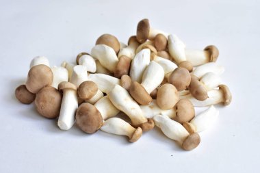 Beyaz arka planda izole edilmiş beyaz mantar, yemek malzemesi