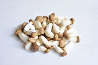 Beyaz arka planda izole edilmiş beyaz mantar, yemek malzemesi