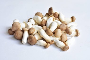 Beyaz arka planda izole edilmiş beyaz mantar, yemek malzemesi