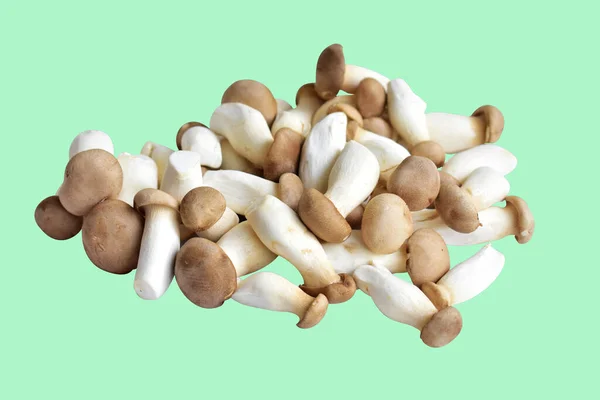 White Mushroom Isolated Clipping Path Black Background Shadow Cooking Ingredient — Stock Photo, Image