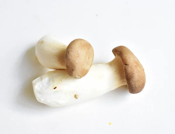 Fungo Bianco Isolato Fondo Bianco Ingrediente Cottura — Foto Stock