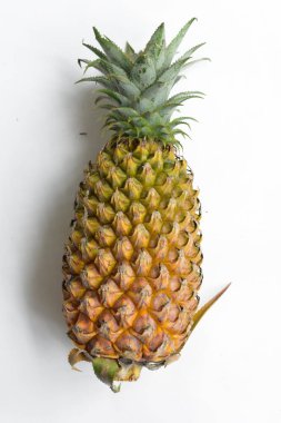 Beyaz arka planda izole edilmiş iki portakal, gölge yok, taze tropikal meyve arka planı, yaz, tatil, yiyecek ve içecek, sulu, serin, vegan, sağlıklı yiyecek, fitness