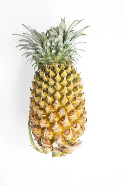 Beyaz arka planda izole edilmiş iki portakal, gölge yok, taze tropikal meyve arka planı, yaz, tatil, yiyecek ve içecek, sulu, serin, vegan, sağlıklı yiyecek, fitness