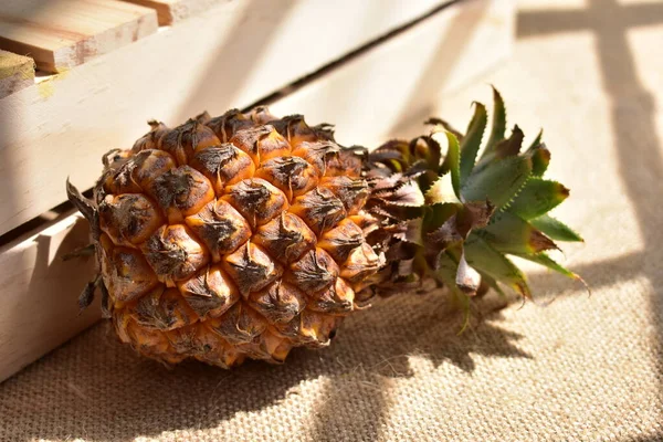 Two orange pineapples isolated in white background, no shadow, fresh tropical fruit background, summer, holiday, food and beverage, juicy, cool, vegan, healthy food, fitness