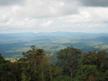 Beyaz gökyüzü ve bulutların arkasındaki yeşil orman ve dağlar