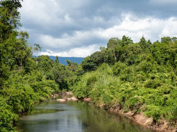 Zielony Las Rzeka Tle Białego Nieba Chmur — Zdjęcie stockowe