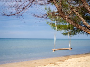 Ağaçta asılı ahşap salıncak Arka planda mavi bir deniz.