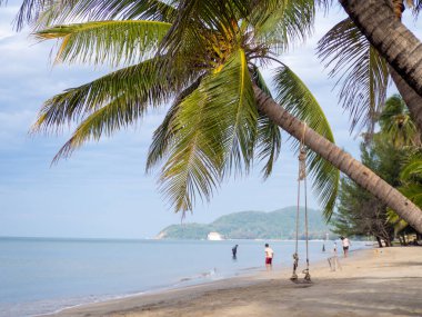 Hindistan cevizi ağacında sallanan ahşap salıncak Arka planda mavi bir deniz var.