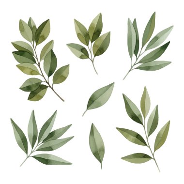 Watercolor Green Foliage Vector Set | Botanical Leaf and Branch Clipart