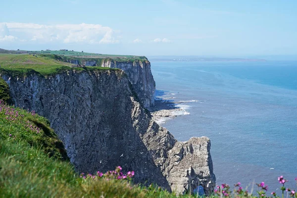 Vue Sur Les Falaises Bempton Dans Yorkshire Angleterre — Photo