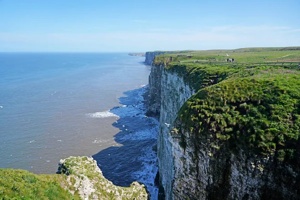 Paisaje Bempton Cliffs Yorkshire Inglaterra — Foto de Stock