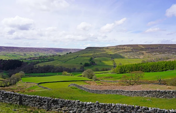 Kuzey York Moors Ulusal Parkı Ngiltere — Stok fotoğraf