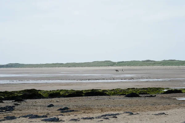Grande Praia Cavaleiros Distância Anglesey — Fotografia de Stock