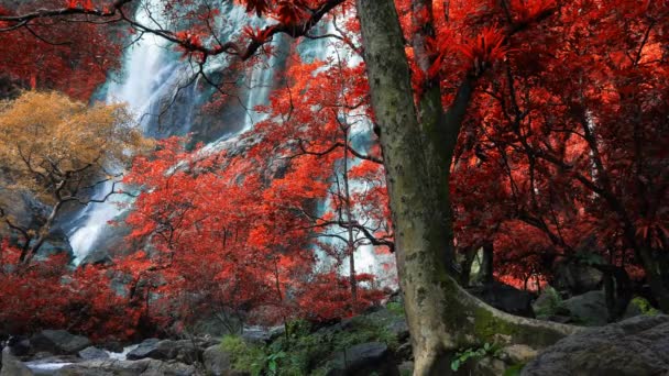 Increíble Naturaleza Hermosa Cascada Colorido Bosque Otoño Temporada Otoño — Vídeos de Stock