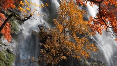Doğada inanılmaz, sonbahar mevsiminde renkli sonbahar ormanlarında güzel şelale.  