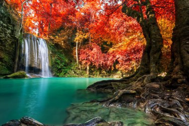 Doğada inanılmaz, sonbahar mevsiminde renkli sonbahar ormanlarında güzel şelale.