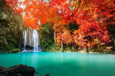 Doğada inanılmaz, sonbahar mevsiminde renkli sonbahar ormanlarında güzel şelale.