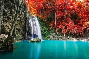 Doğada inanılmaz, sonbahar mevsiminde renkli sonbahar ormanlarında güzel şelale. 