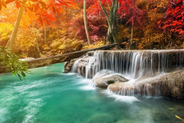 Doğada inanılmaz, sonbahar mevsiminde renkli sonbahar ormanlarında güzel şelale. 