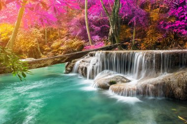 Doğada inanılmaz, sonbahar mevsiminde renkli sonbahar ormanlarında güzel şelale. 