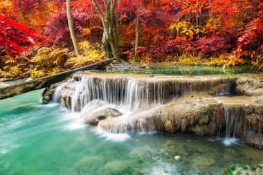 Doğada inanılmaz, sonbahar mevsiminde renkli sonbahar ormanlarında güzel şelale. 