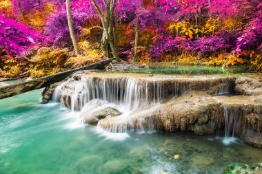 Doğada inanılmaz, sonbahar mevsiminde renkli sonbahar ormanlarında güzel şelale. 
