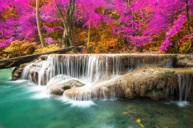 Doğada inanılmaz, sonbahar mevsiminde renkli sonbahar ormanlarında güzel şelale. 