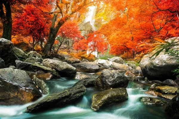 Niesamowite Przyrodzie Piękny Wodospad Kolorowym Jesiennym Lesie Jesienią — Zdjęcie stockowe