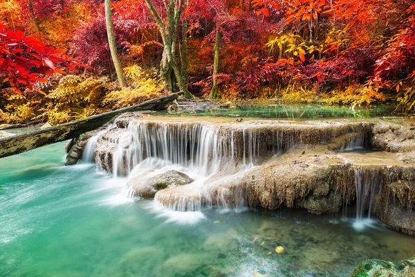 Verbazingwekkend Natuur Prachtige Waterval Bij Kleurrijk Herfstbos Het Najaar — Stockfoto