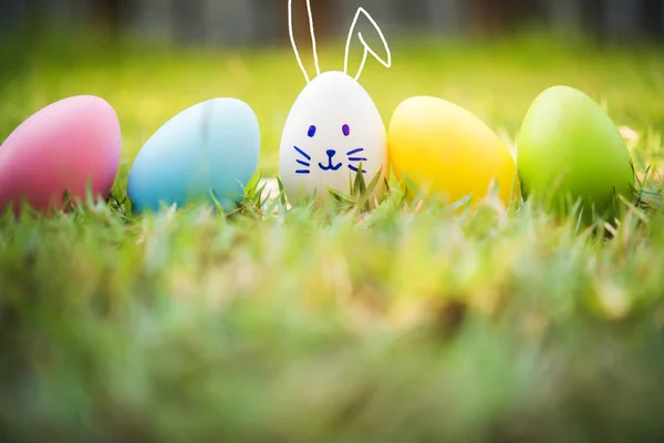 Bunte Ostereier Auf Der Grünen Wiese Stockbild