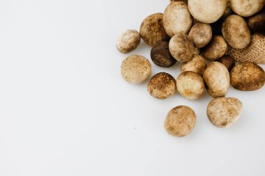 Taze Puffball Tayland mantarı ve bez torbası. Gıda İçindekiler 