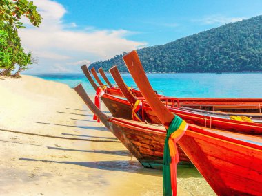 Ulaşım için Uzun Kuyruk Tekneleri Turist Dalışları 