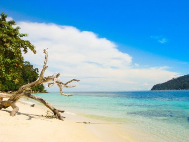 Güzel Kumsal Kumsalı ve Açık Deniz Lüks Dalgıçları ve