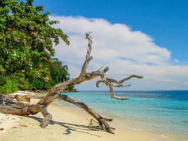 Güzel Kumsal Kumsalı ve Açık Deniz Lüks Dalgıçları ve