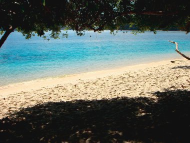Güneşli Gün Plajı ve Holida 'daki Ağaçların Gölgesi Altında Açık Deniz
