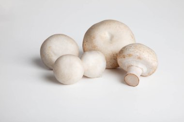 Beyaz arka planda çiğ mantar şampiyonu