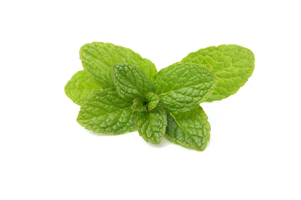 Menta Fresca Aislada Sobre Fondo Blanco Menta Medicina Natural Pimienta — Foto de Stock