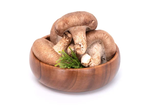 Friss Shiitake Tál Elszigetelt Fehér Alapon — Stock Fotó