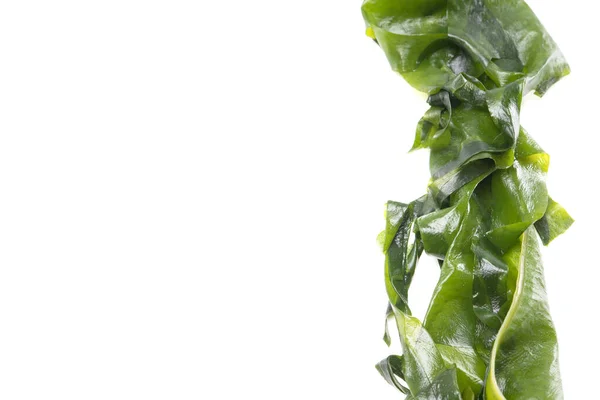 Frisches Algen Wakame Isoliert Auf Weißem Hintergrund Mit Kopierraum Gesunde — Stockfoto