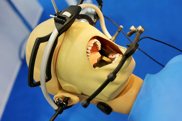 Maniquí para dentistas de entrenamiento — Foto de Stock