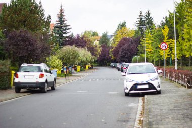Park etmiş arabaları ve renkli ağaçları olan güzel bir cadde..