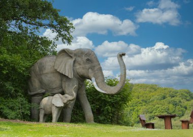 Hayvanat bahçesindeki fil