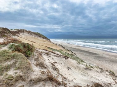 Kuzey Denizi Manzarası