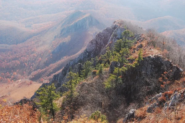 Chandalaz crest — Stock Photo, Image