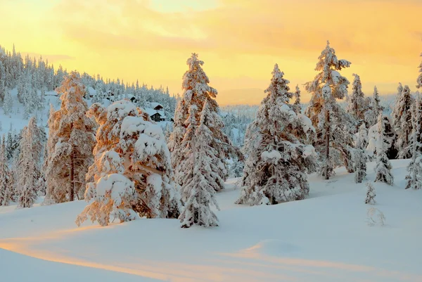 Winter at Norefjell mountain — Stock Photo, Image