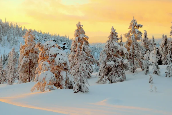 Winter at Norefjell mountain Royalty Free Stock Images